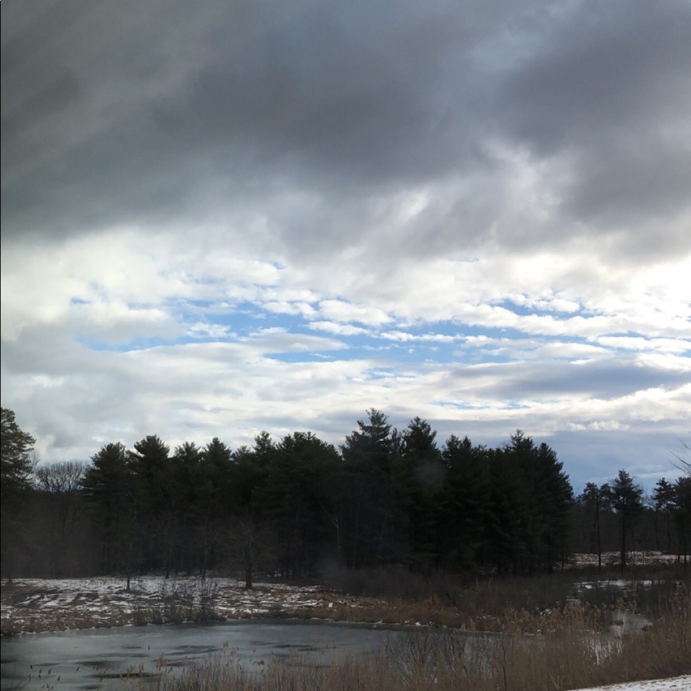 Meet your Posher, Skyler